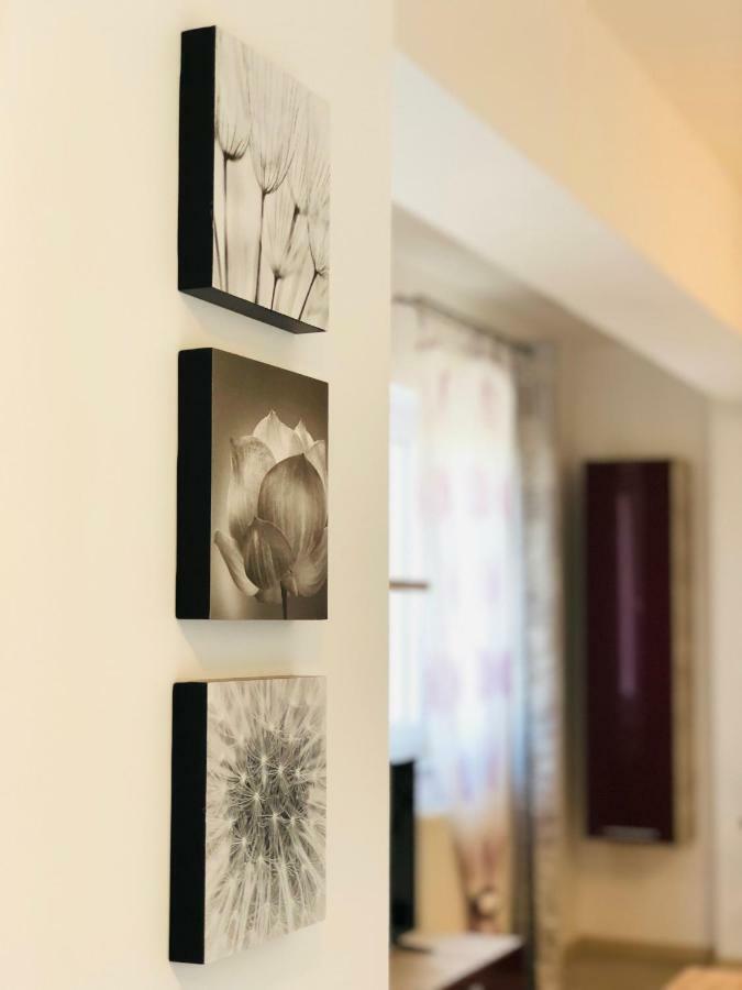 Eme Apartments Braşov Eksteriør billede